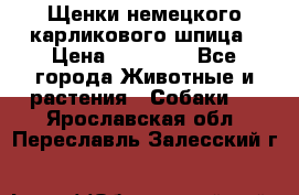 Щенки немецкого карликового шпица › Цена ­ 20 000 - Все города Животные и растения » Собаки   . Ярославская обл.,Переславль-Залесский г.